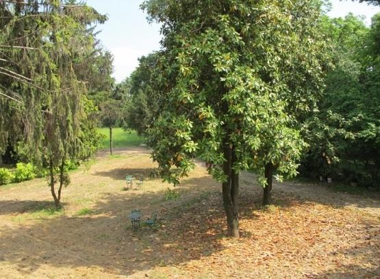 Landhaus Il Giardino Del Conte Custoza *